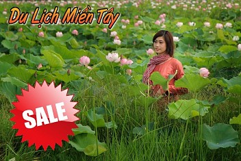 Hồ Chí Minh – Mỹ Tho- Cần Thơ- Tiễn Khách