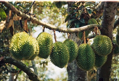 Đi Mãi Không Hết Miền Tây Mùa Nước Lên Đi Mãi Không Hết Miền Tây Mùa Nước Lên