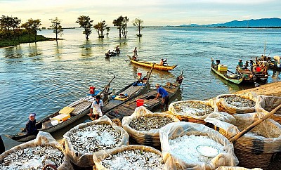Mùa Nước Nổi Có Gì Đặc Biệt Mùa Nước Nổi Có Gì Đặc Biệt