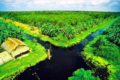 Đôi nét Đồng bằng sông Cửu Long Đôi nét Đồng bằng sông Cửu Long