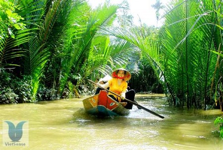 Bến Tre - Bến Ninh Kiều - Cần Thơ: Khám phá vùng đất xanh và sông nước độc đáo