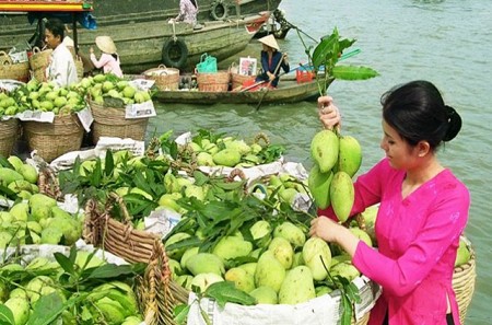 Cần Thơ Đất Tây Đô - Châu Đốc Vía Bà - Hà Tiên Thập Cảnh