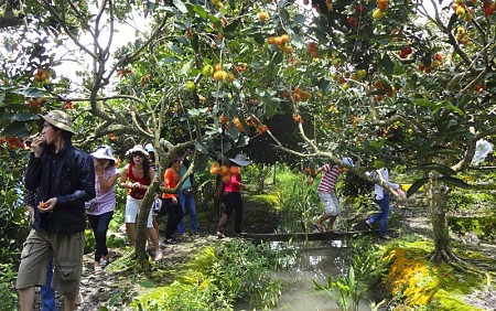 chương trình Mỹ Tho khởi hành từ TP.Hồ Chí Minh