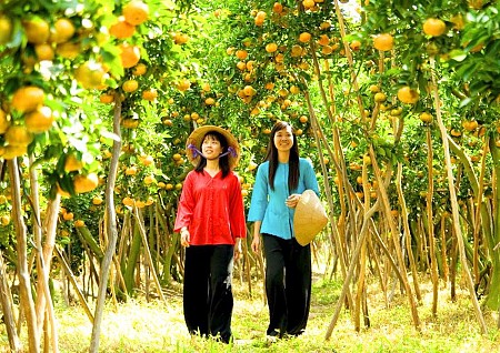 Hà Nội - Cần Thơ – Sóc Trăng – Bạc Liêu – Năm Căn - Cần Thơ – Châu Đốc - Thứ 5 hàng tuần