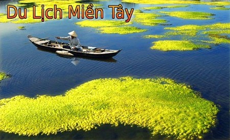 Hành trình sông nước khởi từ Hà Nội 4 Ngày khám phá Sài Gòn - Cần Thơ - Sóc Trăng - Cà Mau