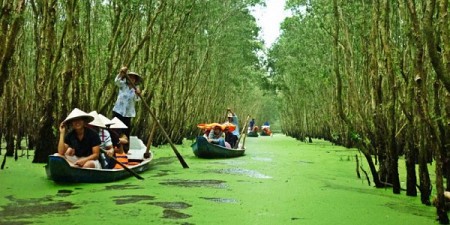 Mùa Nước Nổi - Đồng Tháp Mười - Châu Đốc - Rừng Trà Sư - Kênh Vĩnh Tế