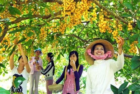 Mỹ Tho - Bến Tre - Cần Thơ - Châu Đốc 3 Ngày 2 Đêm: Khám phá vùng đất sông nước và văn hóa Miền Tây độc đáo