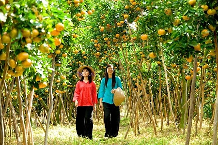 Mỹ Tho - Bến Tre - Cần Thơ - Châu Đốc 3 Ngày 2 Đêm: Khám phá vùng đất sông nước và văn hóa Miền Tây độc đáo