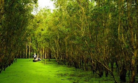 Sóc Trăng - Cà Mau- Đát Mũi - Càn Thơ - Chợ Cái Răng - Tphcm