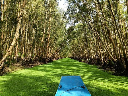 Tổng hợp địa điểm check-in cảnh đẹp Mùa Nước Nổi - Miền Tây