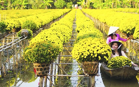 chương trình Đồng Tháp – Gáo Giồng khởi hành từ TP.Hồ Chí Minh