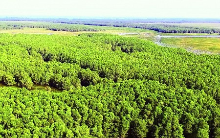 chương trình Đồng Tháp – Gáo Giồng khởi hành từ TP.Hồ Chí Minh