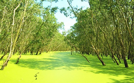 chương trình Long An khởi hành từ TP.Hồ Chí Minh