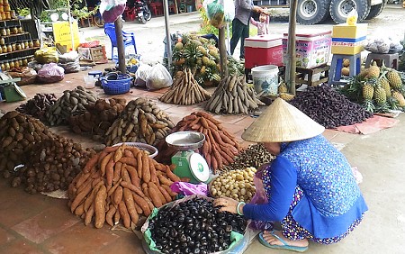 chương trình Long An khởi hành từ TP.Hồ Chí Minh