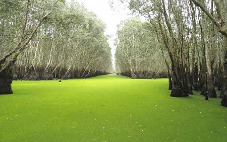 chương trình Long An khởi hành từ TP.Hồ Chí Minh