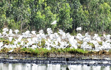chương trình Long An khởi hành từ TP.Hồ Chí Minh