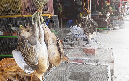 chương trình Long An khởi hành từ TP.Hồ Chí Minh