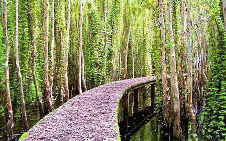 chương trình Long An khởi hành từ TP.Hồ Chí Minh