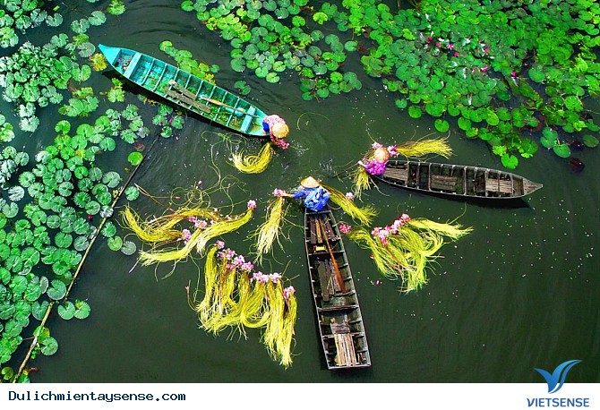 Mùa nước nổi tháng mấy? - Ảnh 2