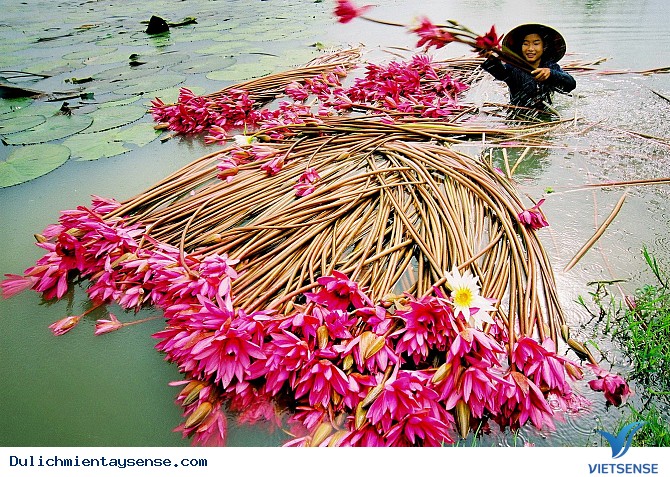 Những điểm chuyến đi hấp dẫn - Ảnh 2