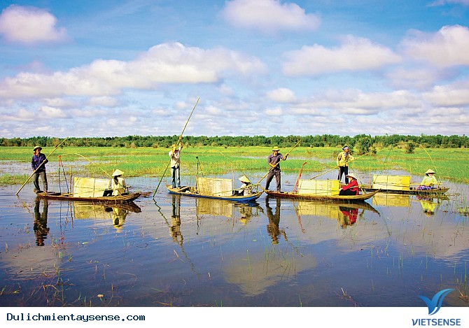 Mùa nước nổi tháng mấy? - Ảnh 1