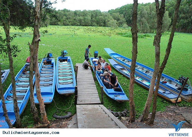 Độc đáo tắc ráng miền Tây sông nước - Ảnh 1