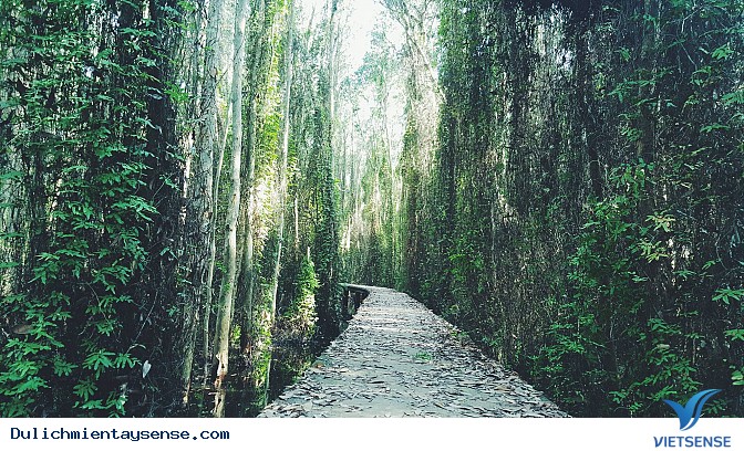 Làng nổi Tân Lập - Ảnh 2