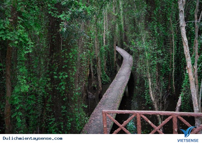 Làng nổi Tân Lập - Ảnh 1