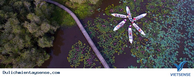 Làng nổi Tân Lập - Ảnh 3