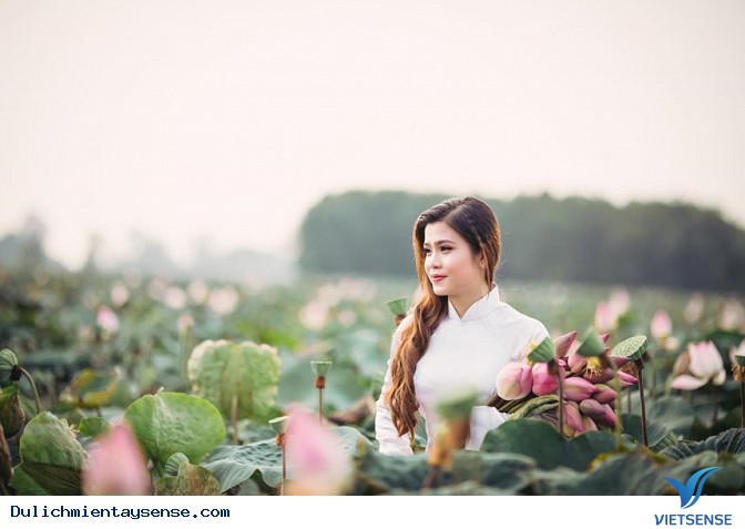 Tổng hợp địa điểm check-in cảnh đẹp Mùa Nước Nổi - Miền Tây - Ảnh 7