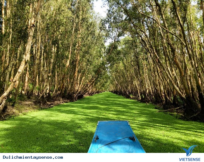 Tổng hợp địa điểm check-in cảnh đẹp Mùa Nước Nổi - Miền Tây - Ảnh 3