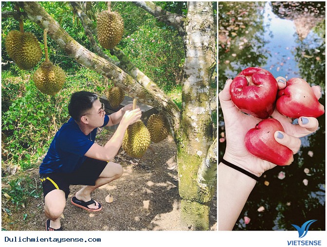 Tổng hợp địa điểm check-in cảnh đẹp Mùa Nước Nổi - Miền Tây - Ảnh 9