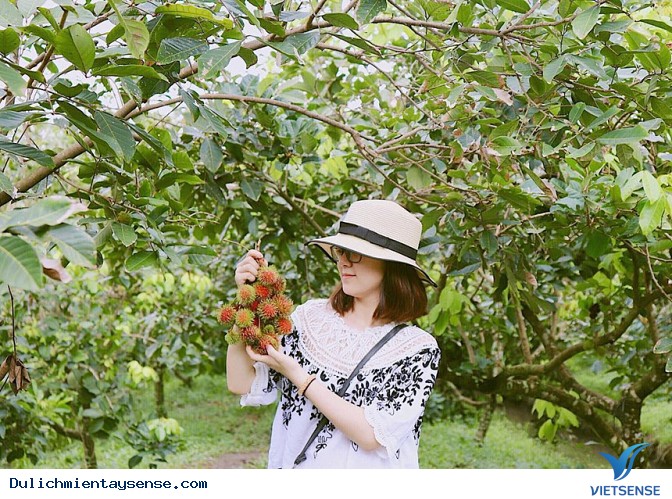 Tổng hợp địa điểm check-in cảnh đẹp Mùa Nước Nổi - Miền Tây - Ảnh 8