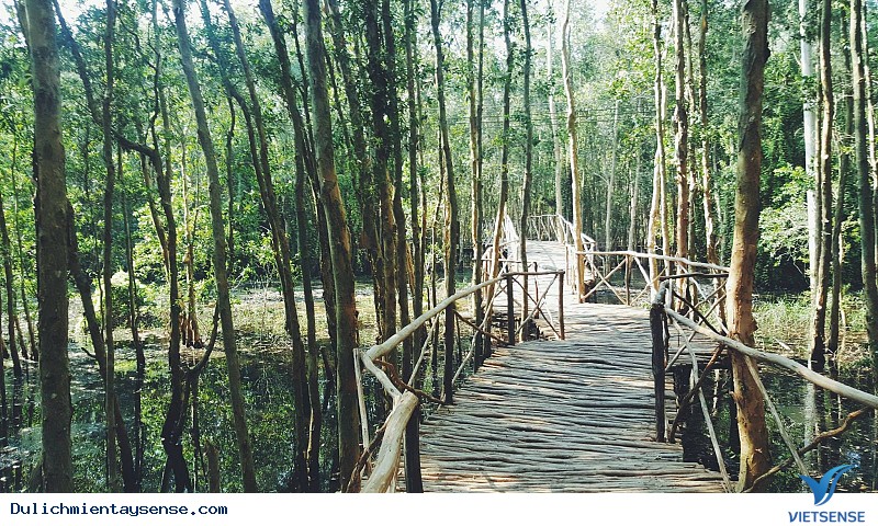 Check In 5 Điểm Đến Hot Nhất Miền Tây - Ảnh 3