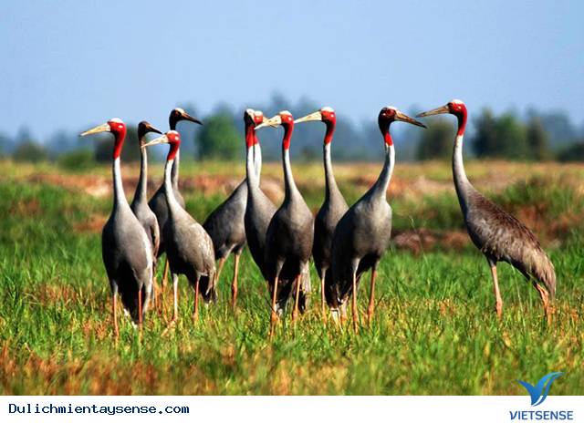 Check In 5 Điểm Đến Hot Nhất Miền Tây - Ảnh 6