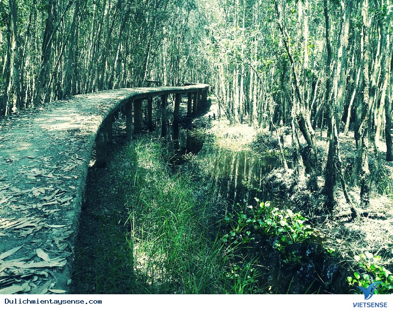 Check In 5 Điểm Đến Hot Nhất Miền Tây - Ảnh 4