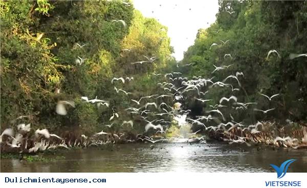 Check In 5 Điểm Đến Hot Nhất Miền Tây - Ảnh 5