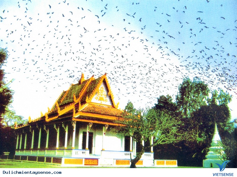 Chùa Dơi Sóc Trăng Huyền Thoại Khmer - Ảnh 2 Chùa Dơi Sóc Trăng Huyền Thoại Khmer - Ảnh 2