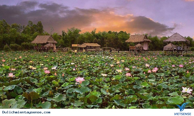 Đi Mãi Không Hết Miền Tây Mùa Nước Nổi - Ảnh 4