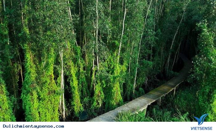 Đi Mãi Không Hết Miền Tây Mùa Nước Nổi - Ảnh 1