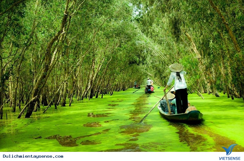 Những trải Nghiệm Tuyệt Vời Khi Tới Miền Tây Mùa Nước Nổi - Ảnh 10 Những trải Nghiệm Tuyệt Vời Khi Tới Miền Tây Mùa Nước Nổi - Ảnh 10