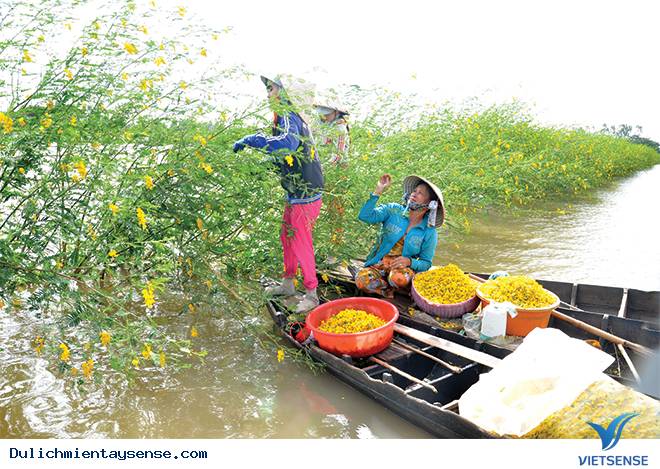 Những trải Nghiệm Tuyệt Vời Khi Tới Miền Tây Mùa Nước Nổi - Ảnh 3 Những trải Nghiệm Tuyệt Vời Khi Tới Miền Tây Mùa Nước Nổi - Ảnh 3
