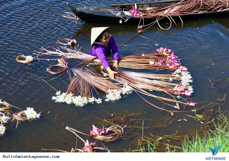 Những trải Nghiệm Tuyệt Vời Khi Tới Miền Tây Mùa Nước Nổi - Ảnh 5 Những trải Nghiệm Tuyệt Vời Khi Tới Miền Tây Mùa Nước Nổi - Ảnh 5