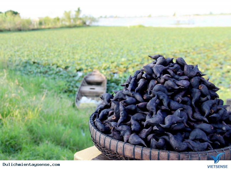 Những trải Nghiệm Tuyệt Vời Khi Tới Miền Tây Mùa Nước Nổi - Ảnh 4 Những trải Nghiệm Tuyệt Vời Khi Tới Miền Tây Mùa Nước Nổi - Ảnh 4