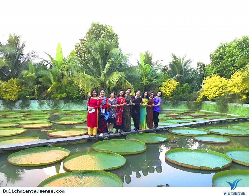 Ảnh Đoàn Khách 5 ngày từ Sài Gon về Cần Thơ - Ảnh 6 Ảnh Đoàn Khách 5 ngày từ Sài Gon về Cần Thơ - Ảnh 6