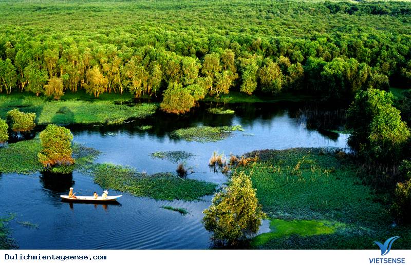 Rừng Tràm Trà Sư Mùa Nước Nổi Rừng Tràm Trà Sư Mùa Nước Nổi