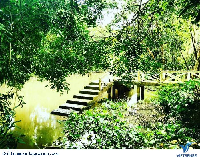 Bạn đã nghe danh ‘’Xẻo Quýt’’ – Đồng Tháp chưa? - Ảnh 5