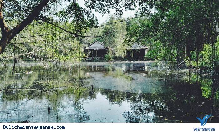 Bạn đã nghe danh ‘’Xẻo Quýt’’ – Đồng Tháp chưa? - Ảnh 3