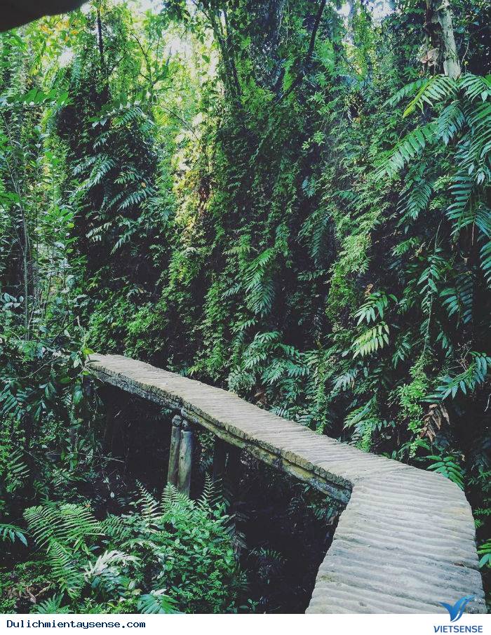 Bạn đã nghe danh ‘’Xẻo Quýt’’ – Đồng Tháp chưa? - Ảnh 7