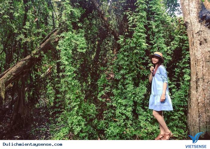 Bạn đã nghe danh ‘’Xẻo Quýt’’ – Đồng Tháp chưa? - Ảnh 8